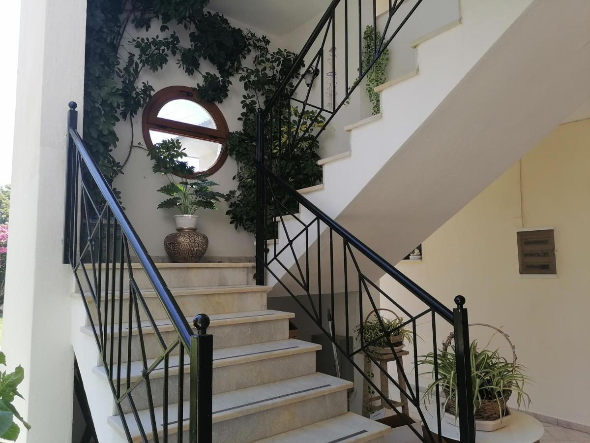 Palatino Studios Aya Paraskevi Dış mekan fotoğraf