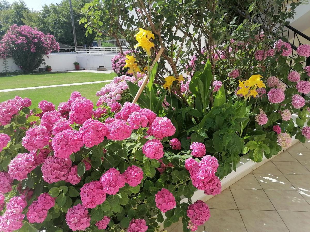 Palatino Studios Aya Paraskevi Dış mekan fotoğraf