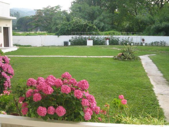 Palatino Studios Aya Paraskevi Dış mekan fotoğraf