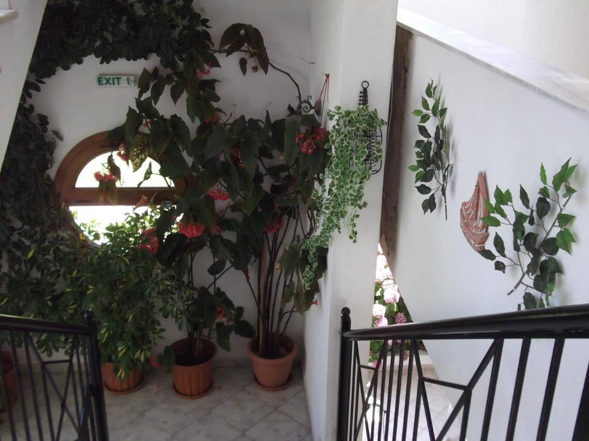 Palatino Studios Aya Paraskevi Dış mekan fotoğraf